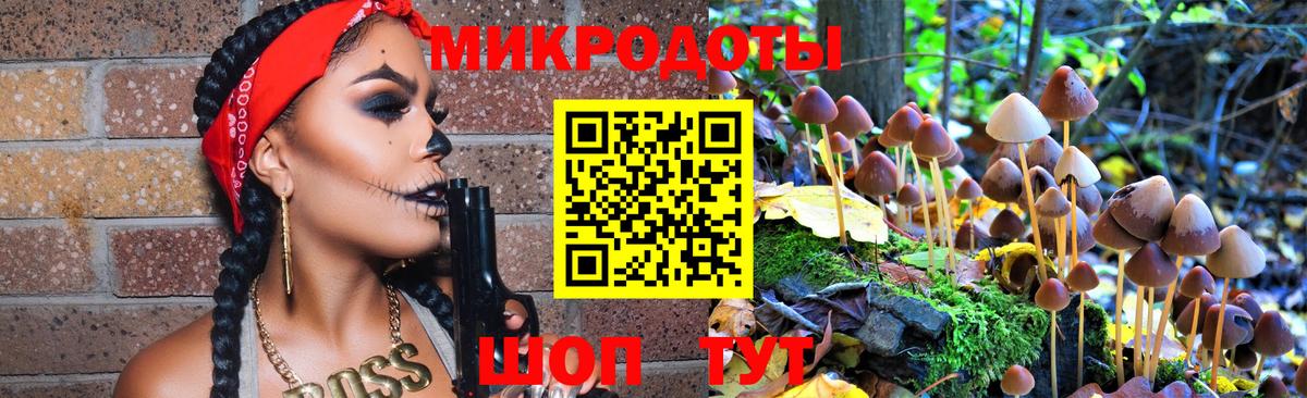 Галлюциногенные грибы Psilocybe Нижний Новгород
